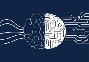 أفضل 5 كورسات