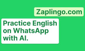 شرح موقع Zaplingo