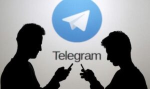 بوت تليجرام