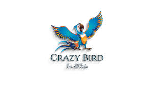 Crazy Bird Studios | أفضل قناة تهتم بألعاب الفيديو2024